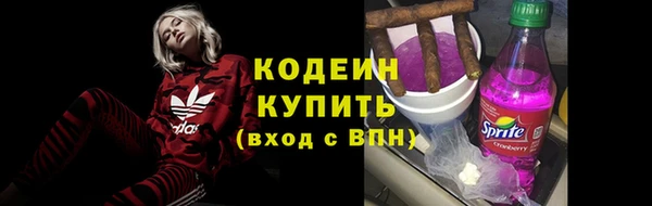 соль ск Пестово