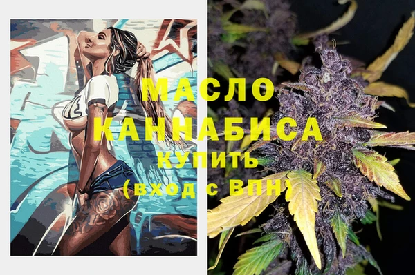 дмт Переславль-Залесский