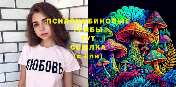 соль ск Пестово