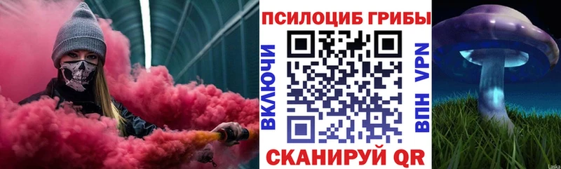 Галлюциногенные грибы мицелий  купить наркотик  Разумное 